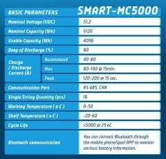 Megacell 51,2V 100Ah LiFePO4 Lityum Demir Fosfat Akü(PRİZMATİK/Haberleşmeli)